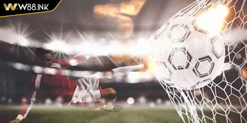 Những vấn đề lưu ý quan trọng 