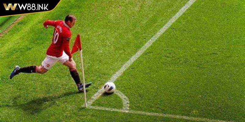 Chiến lược dựa trên thời tiết và sân chơi 